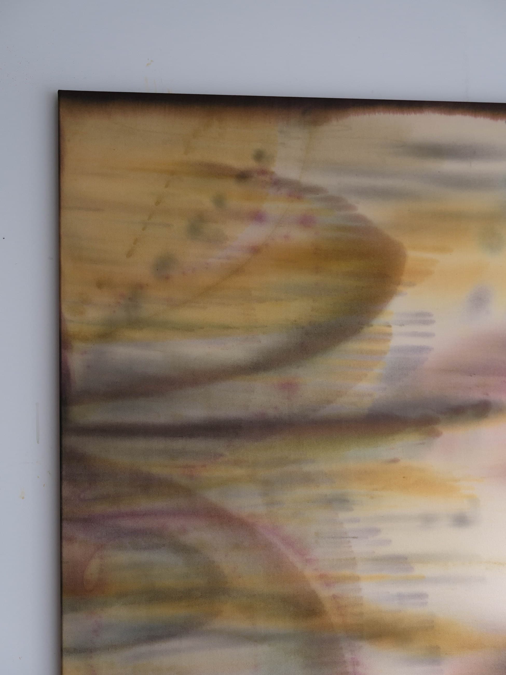 « Harmonia », Anaïs Vindel