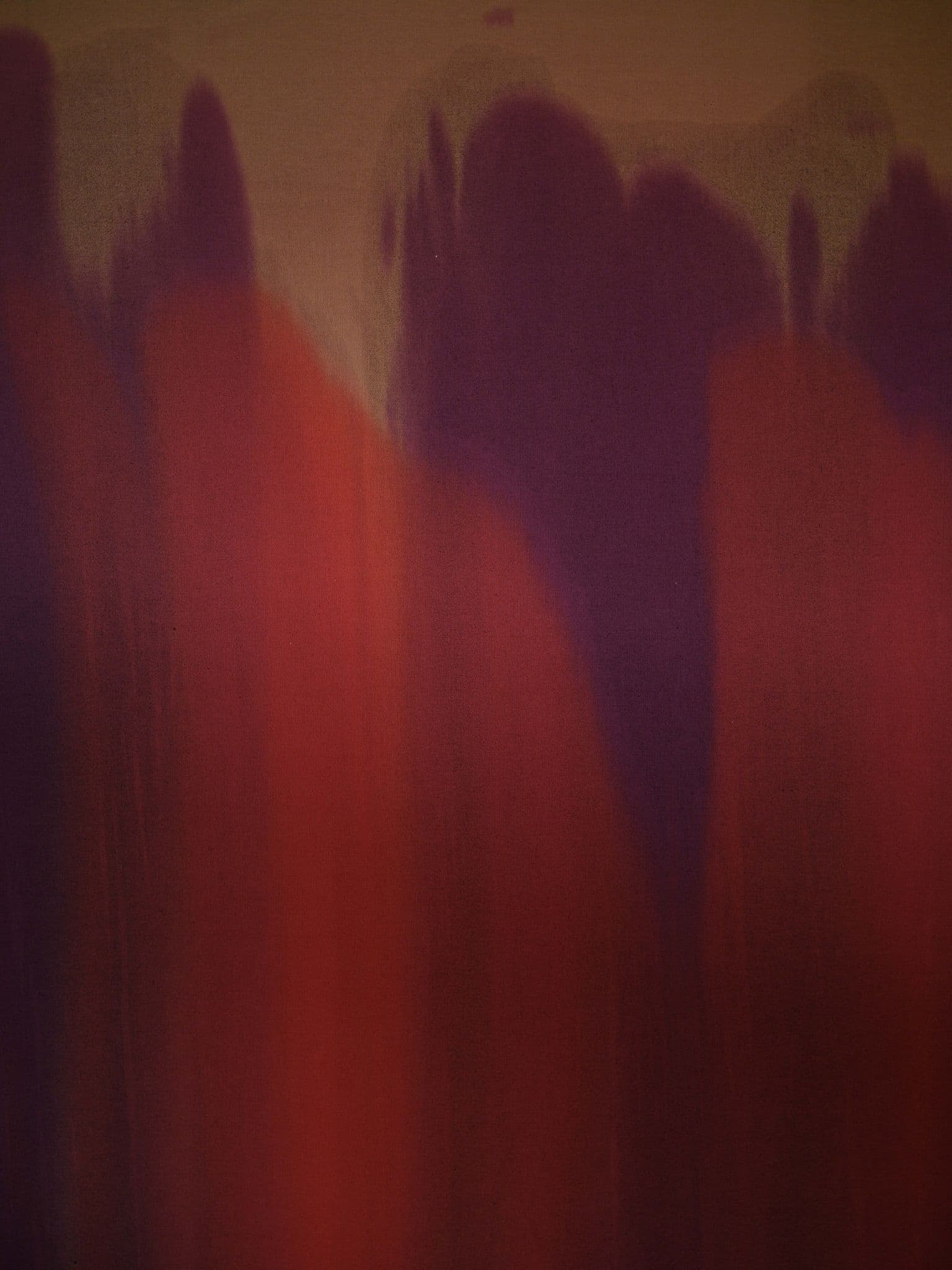 “Foliage”, Anaïs Vindel (view 2)