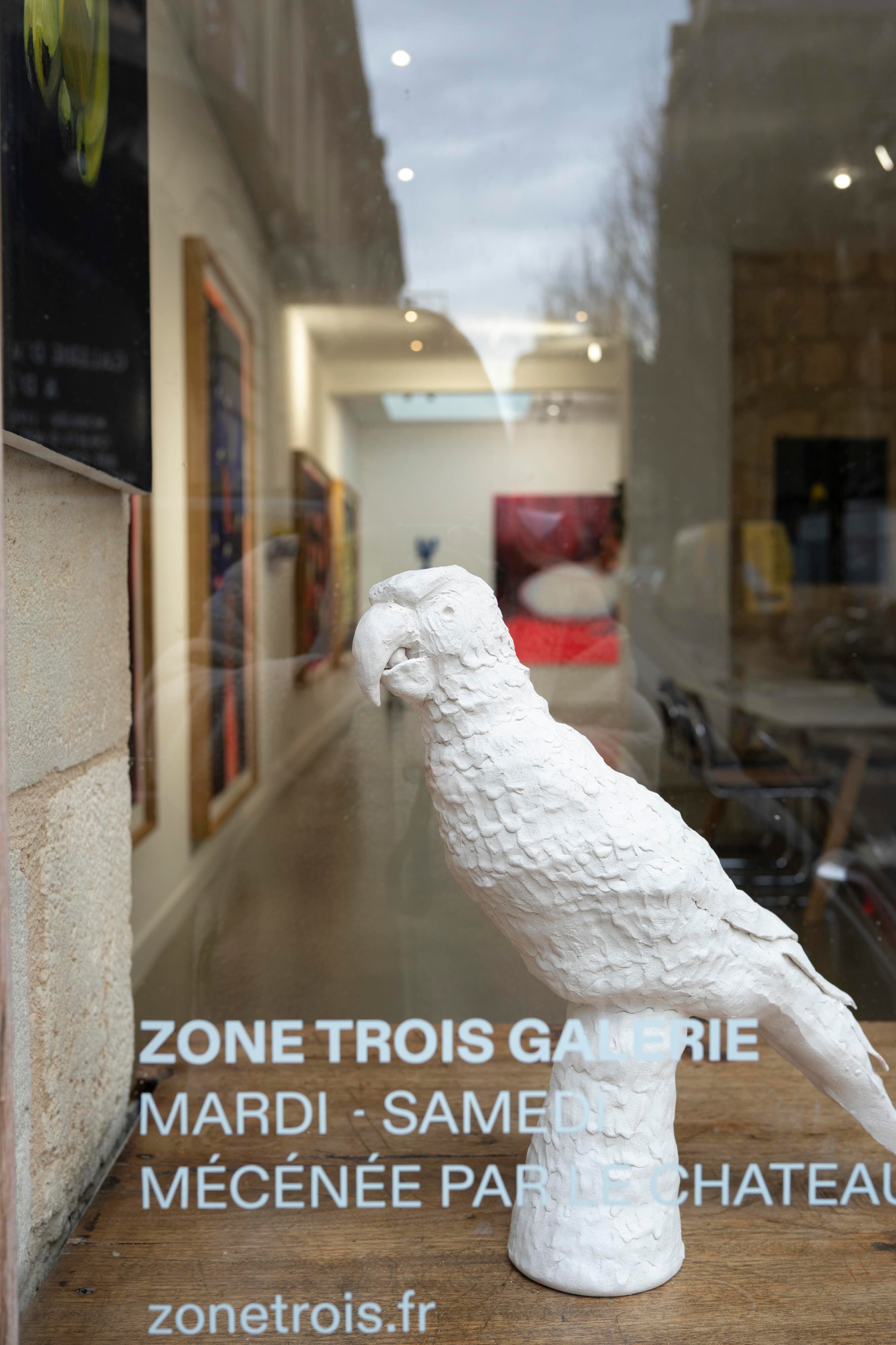 « Le perroquet », Coline Gaulot