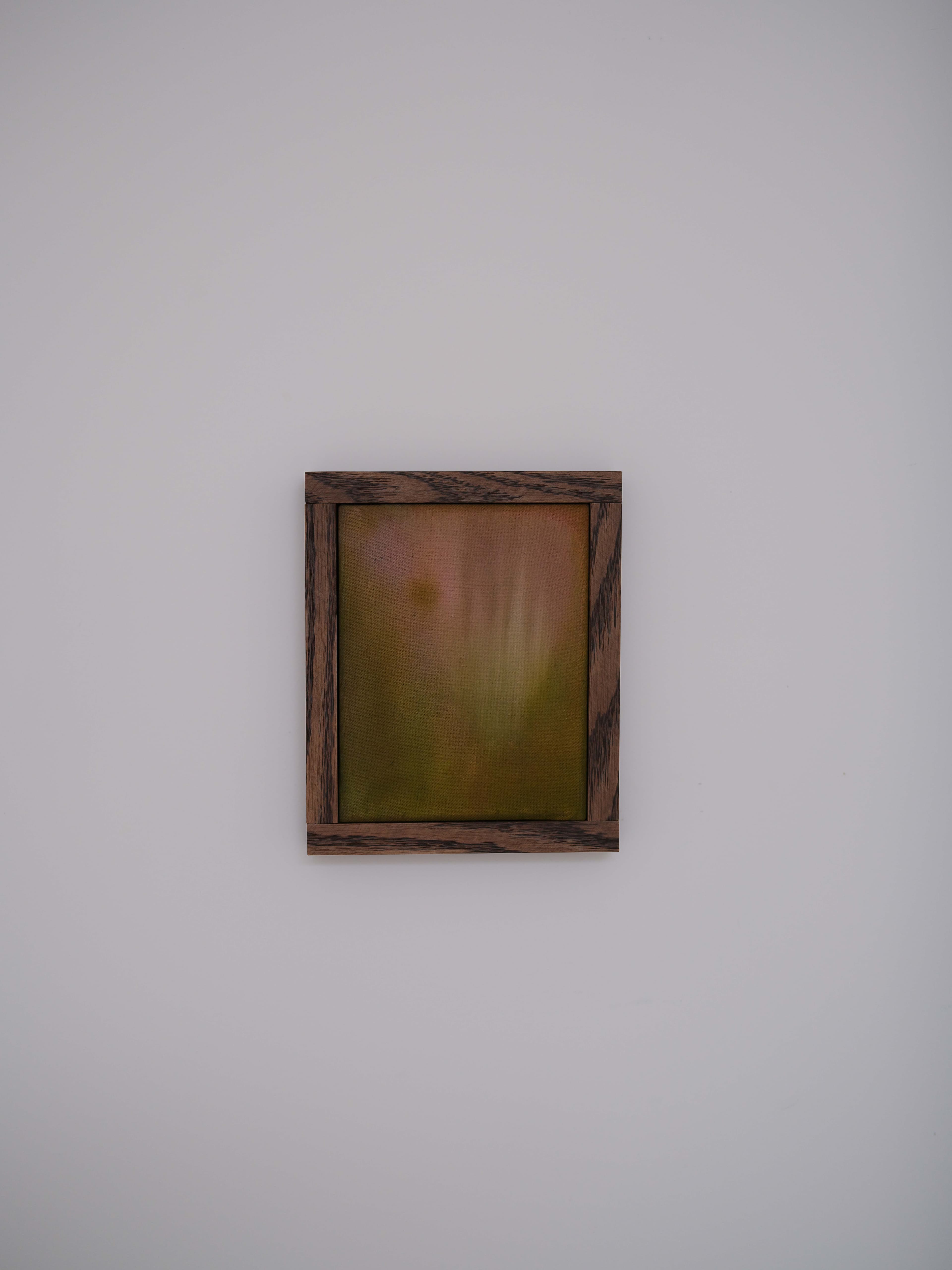 « Canopée », Anaïs Vindel