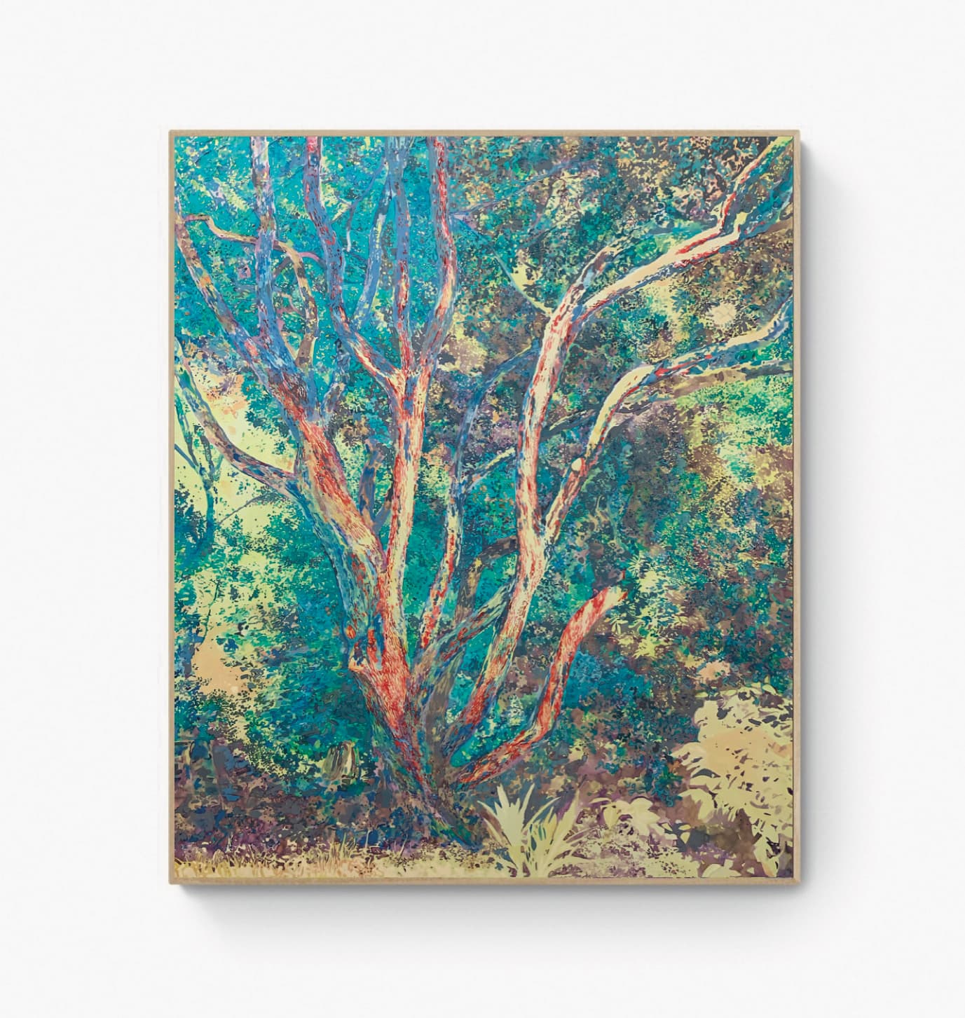 “Arbutus lucis”, Sébastien Mahon