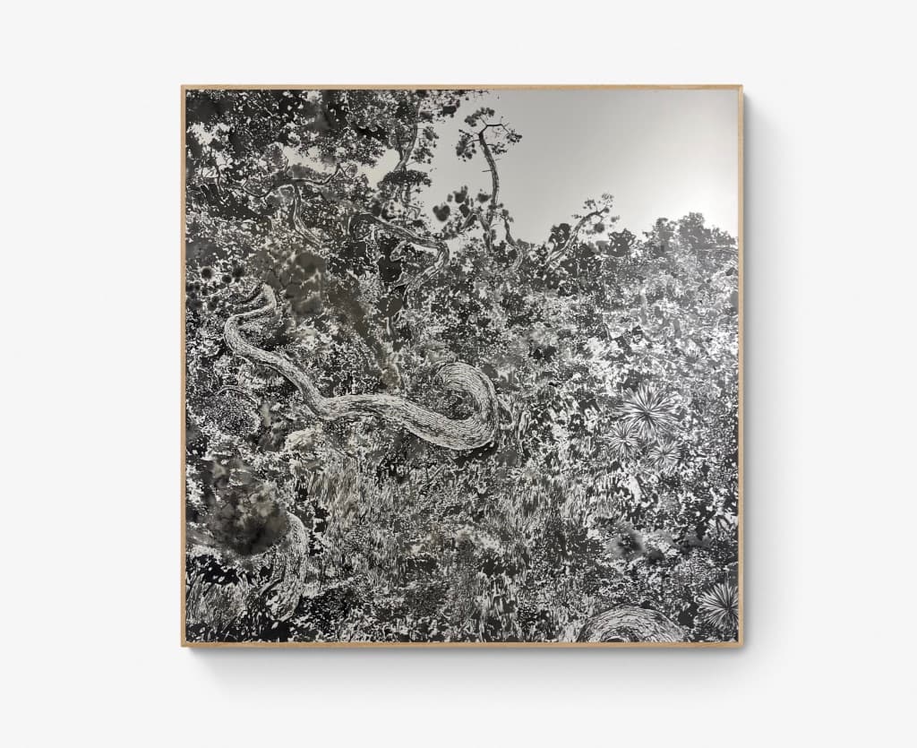 “Champs de bataille”, Sébastien Mahon