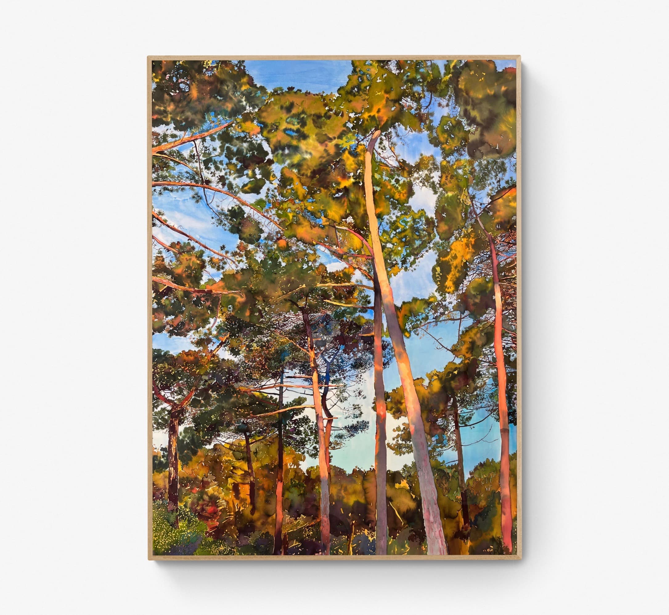 “Coelie narrant ad vesperam”, Sébastien Mahon