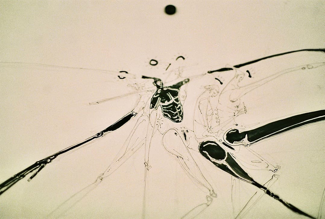 Installation view of “Elementaire” at Zone Trois Galerie, Bordeaux