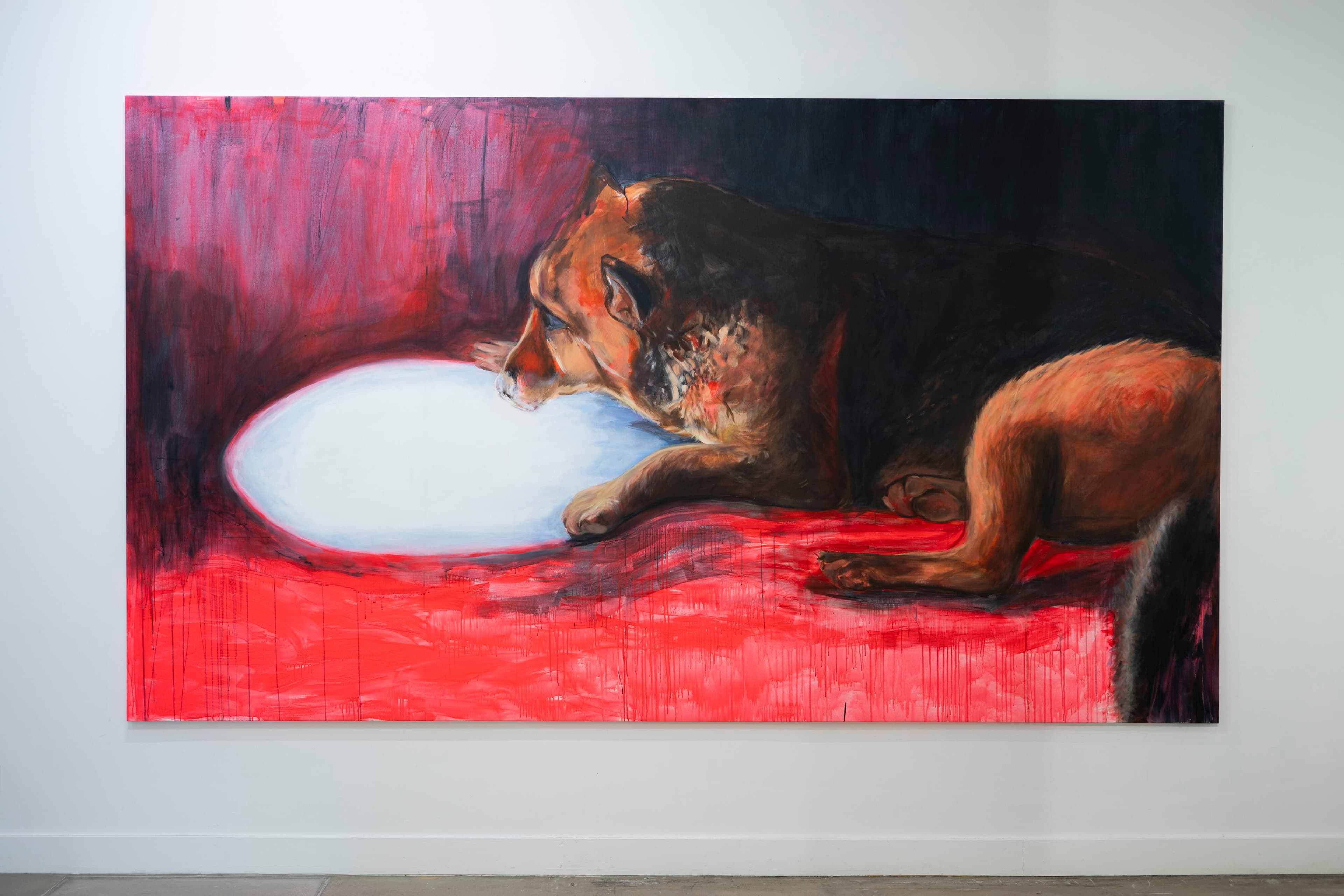 « Le Grand Chien », Coline Gaulot
