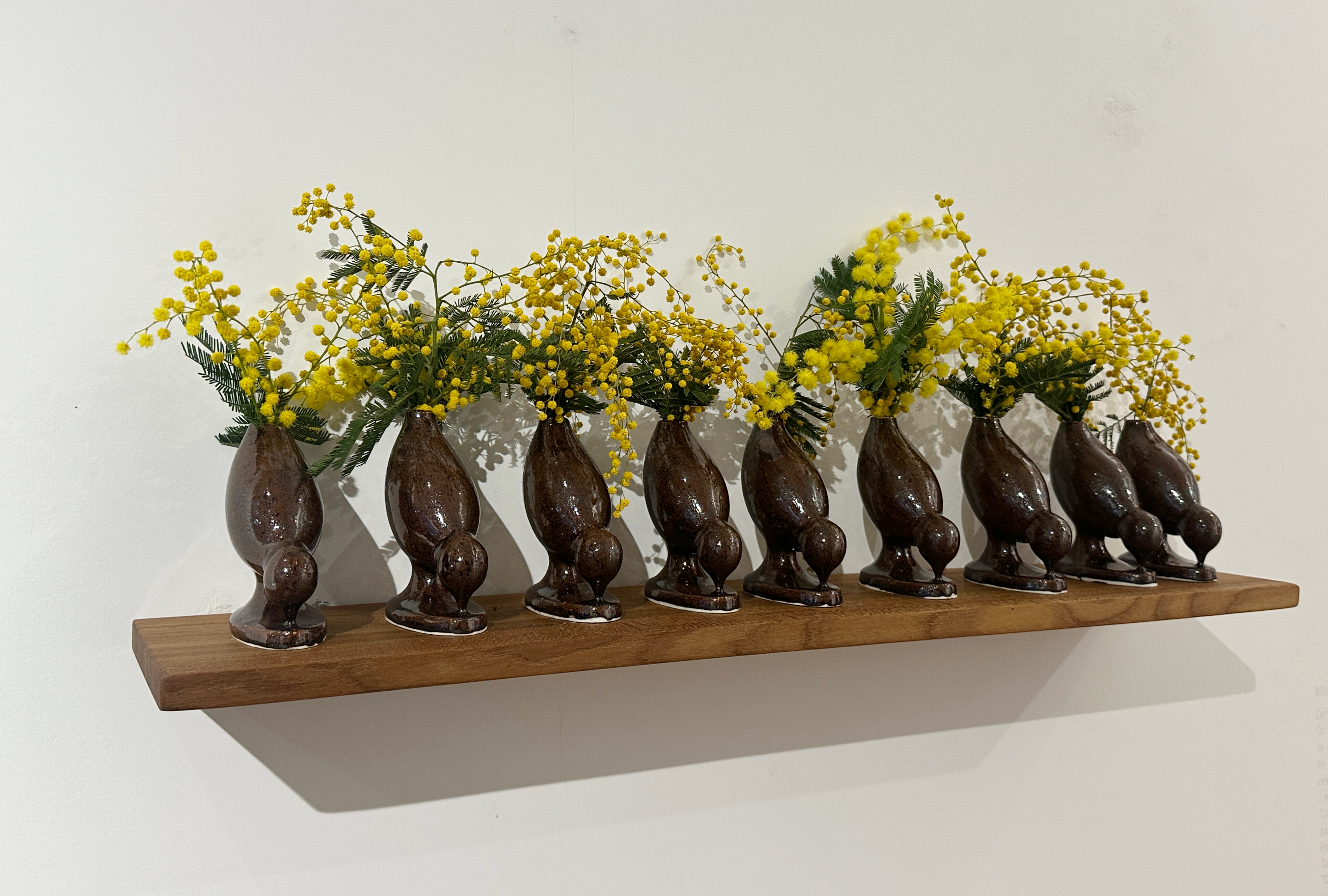 “Les petits oiseaux”, Coline Gaulot
