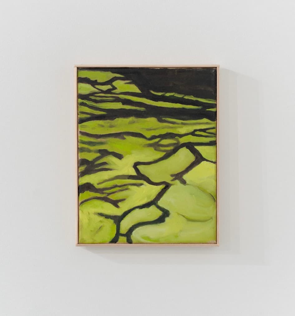 “Ombre 3 (Jardin à Pully)”, Maya Andersson