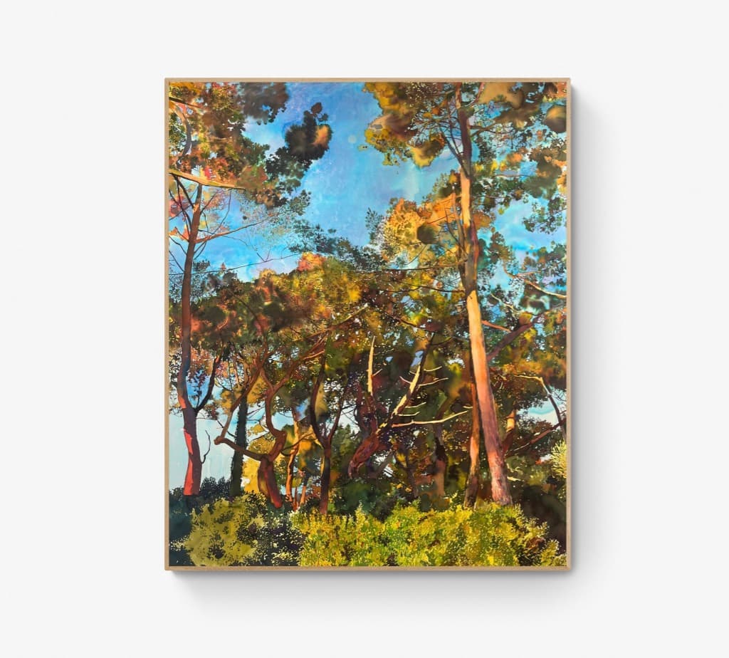 “Oras in ocasum”, Sébastien Mahon