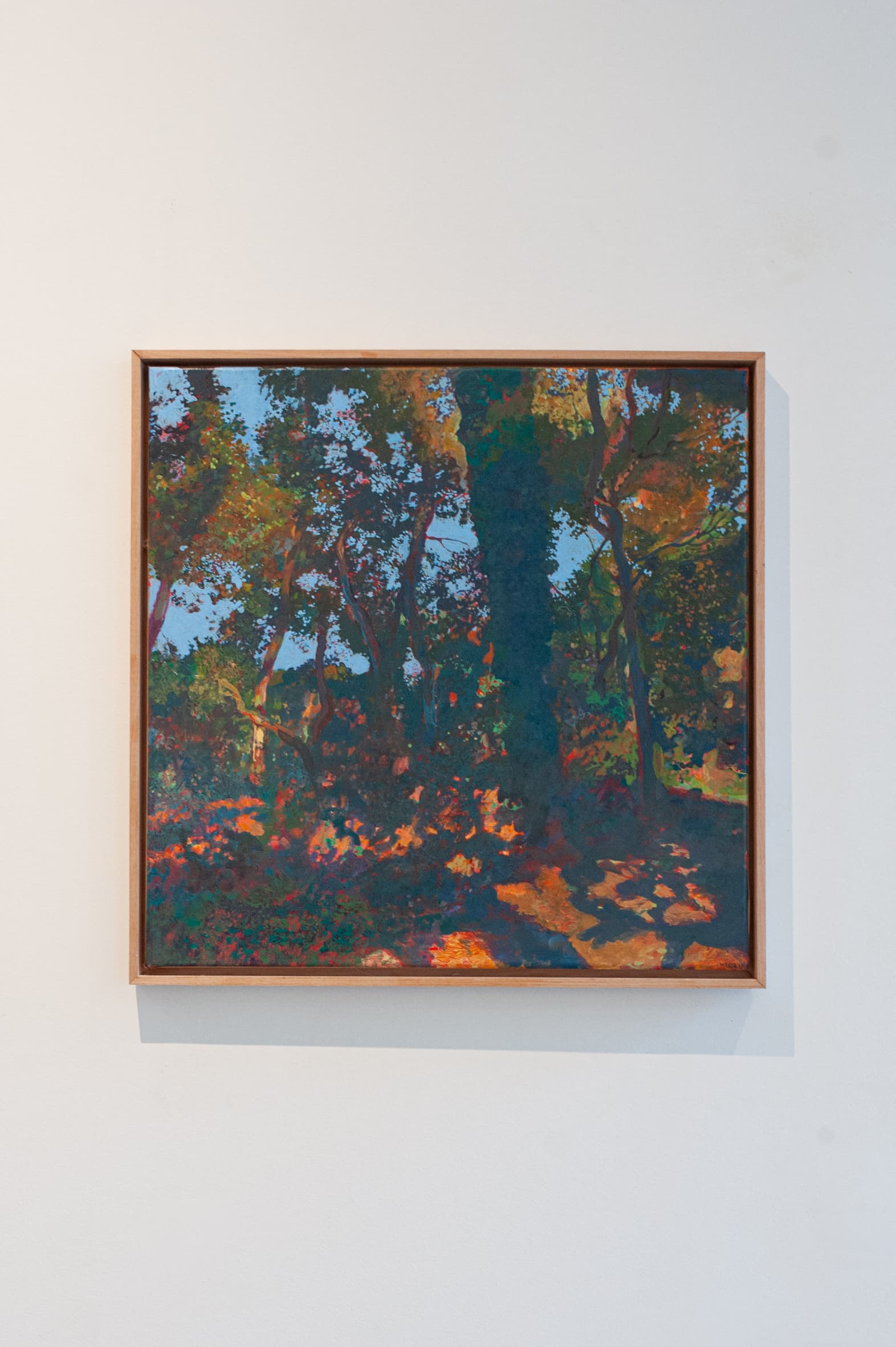 « Quercus », Sébastien Mahon