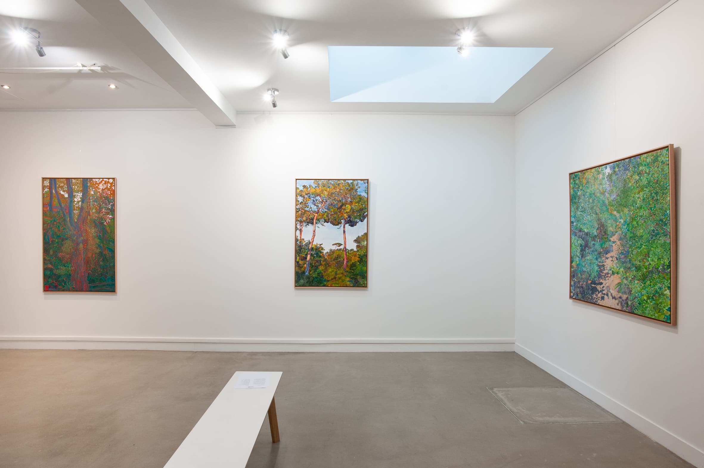 Vue de l’exposition « Sébastien Mahon » à Zone Trois Galerie, Bordeaux
