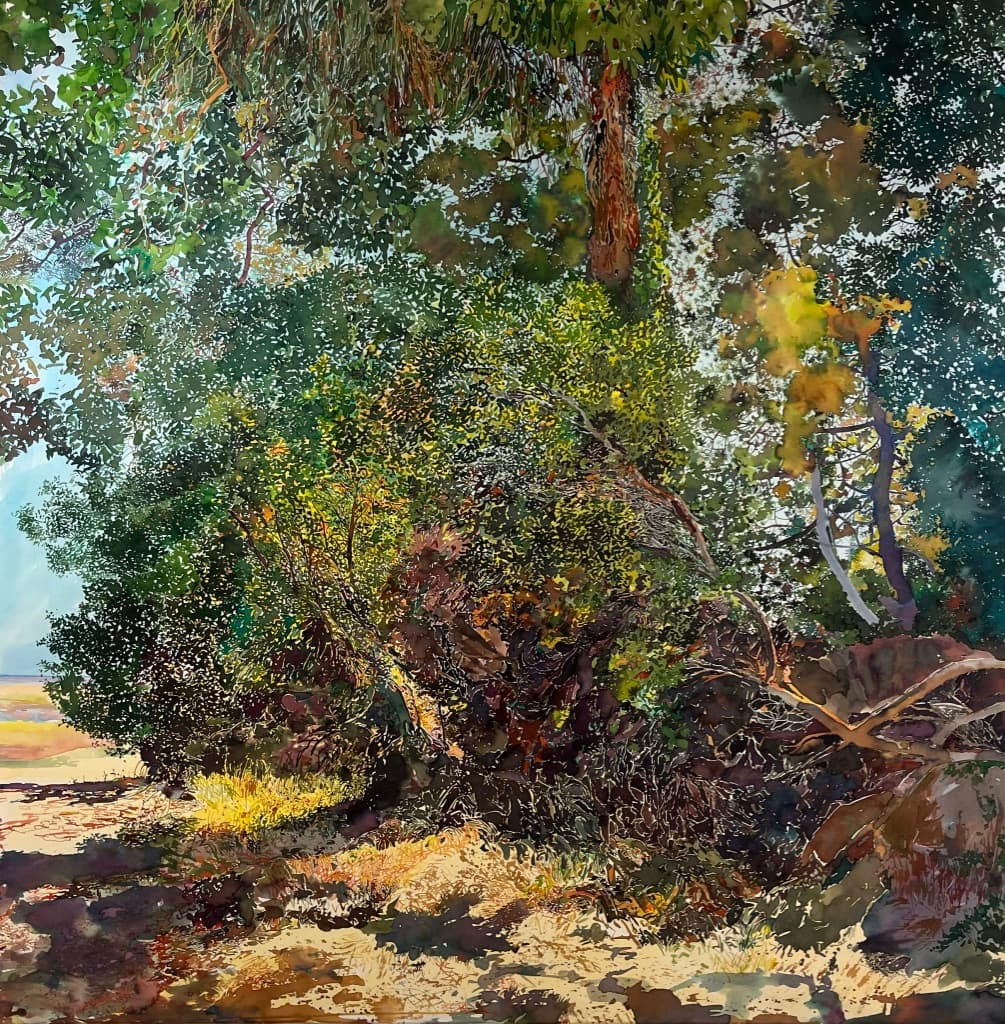 Vue de l’exposition « Ombres Foliaires » à Zone Trois Galerie, Bordeaux
