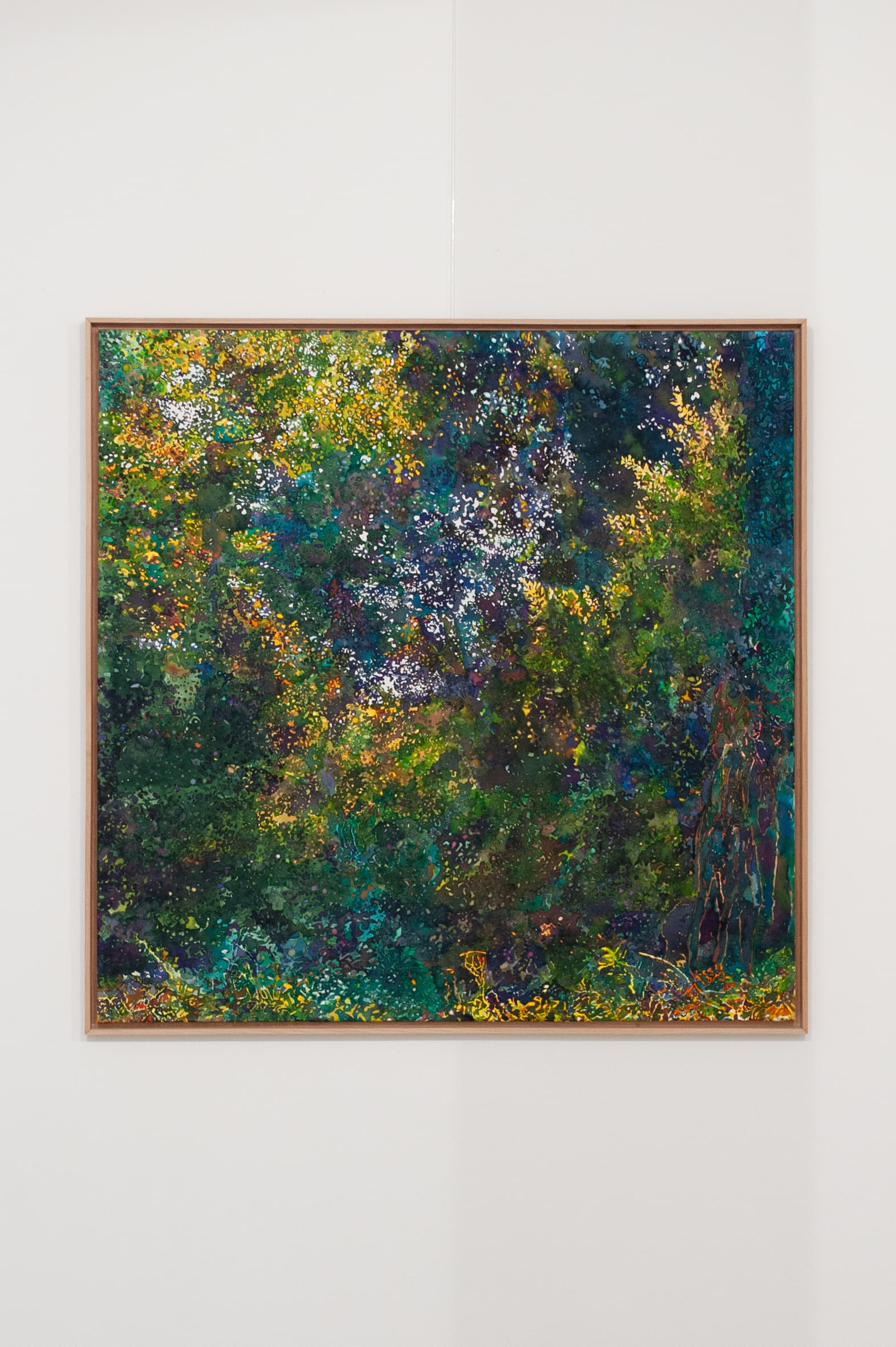 « Sonitus in fondo Horto », Sébastien Mahon