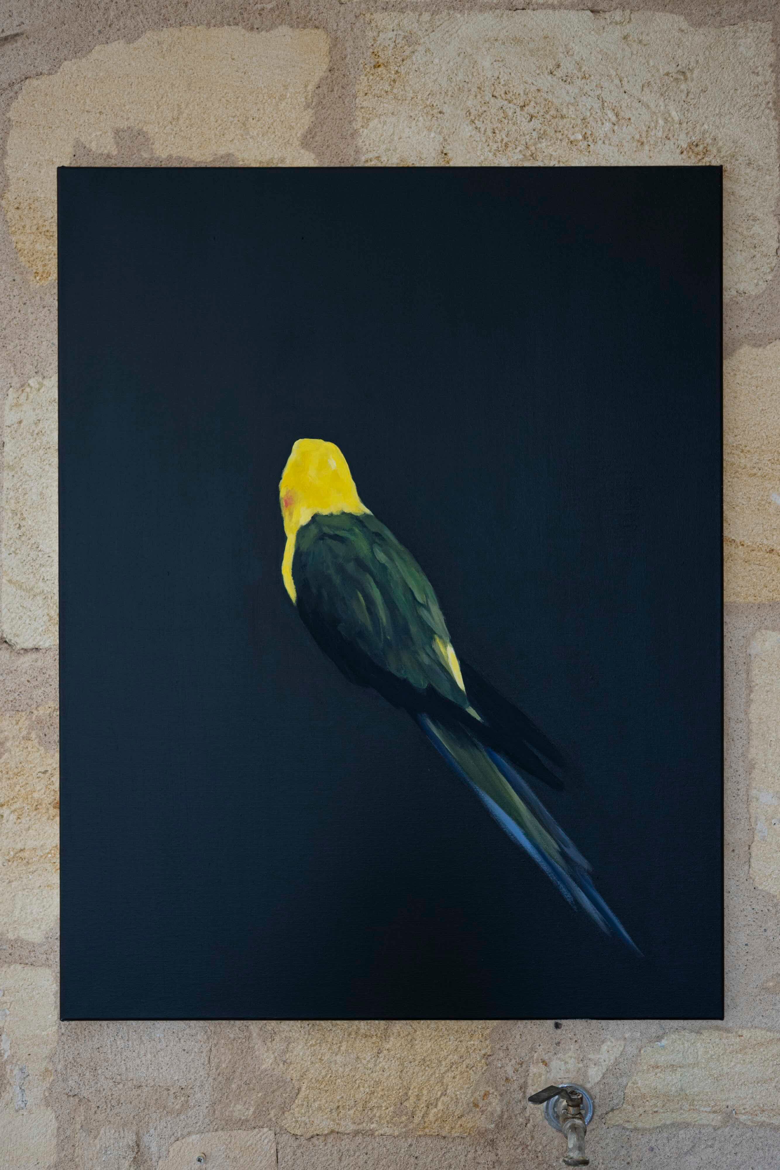 “Vue de dos jaune”, Coline Gaulot